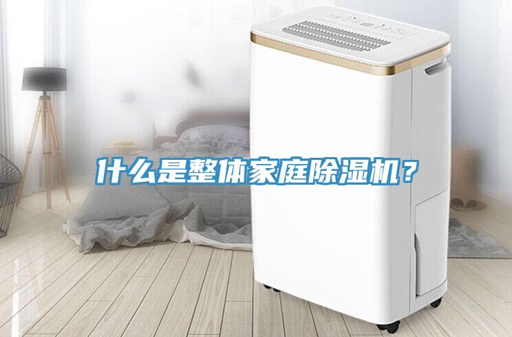 什么是整體家庭除濕機？