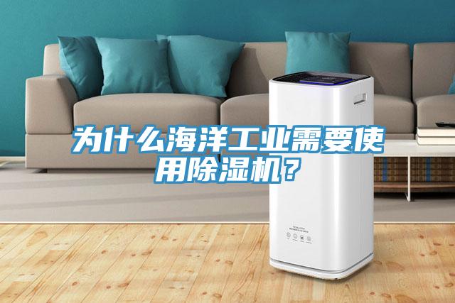 為什么海洋工業(yè)需要使用除濕機(jī)？