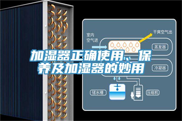 加濕器正確使用、保養(yǎng)及加濕器的妙用