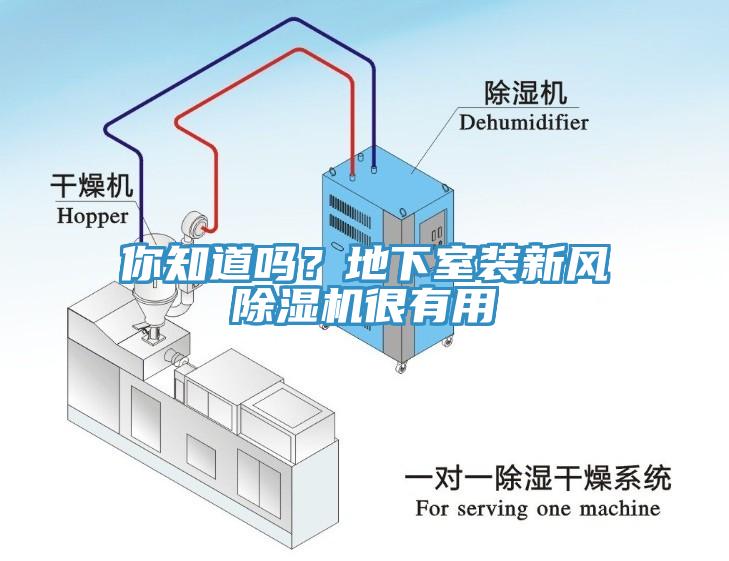 你知道嗎？地下室裝新風(fēng)除濕機(jī)很有用