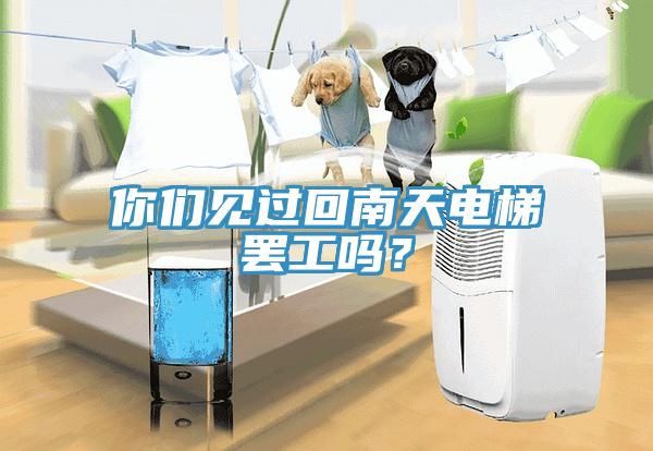 你們見(jiàn)過(guò)回南天電梯罷工嗎？