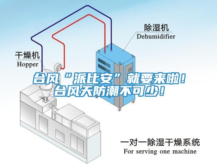 臺風(fēng)“派比安”就要來啦！臺風(fēng)天防潮不可少！