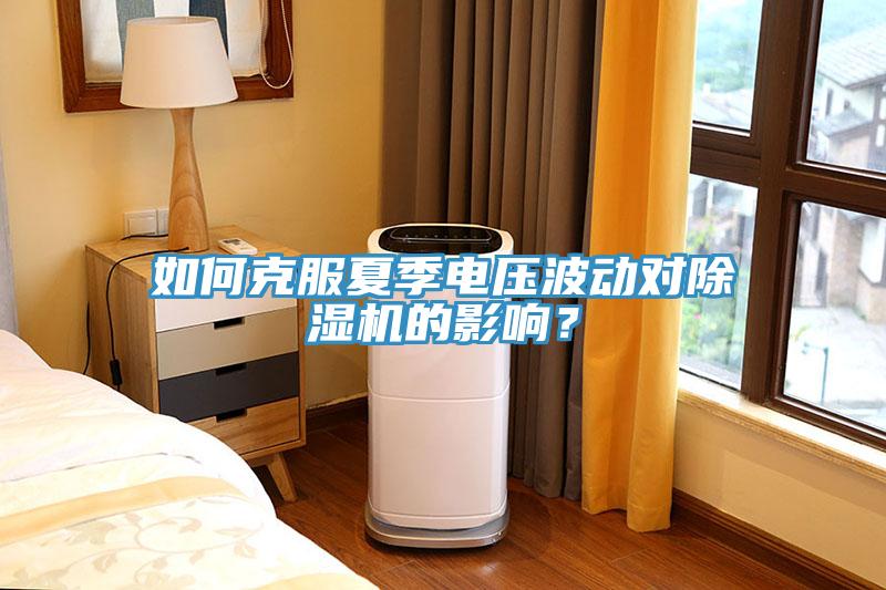 如何克服夏季電壓波動對除濕機的影響？