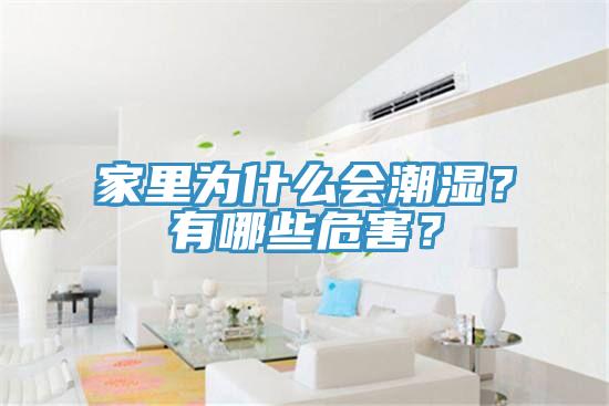 家里為什么會(huì)潮濕？有哪些危害？