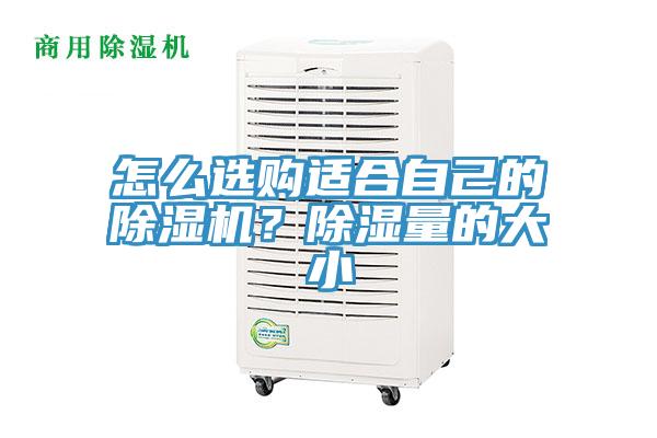 怎么選購適合自己的除濕機？除濕量的大小