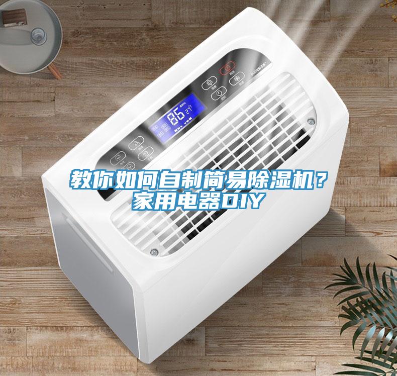 教你如何自制簡(jiǎn)易除濕機(jī)？家用電器DIY