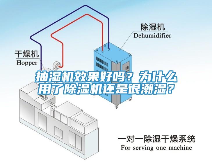 抽濕機(jī)效果好嗎？為什么用了除濕機(jī)還是很潮濕？