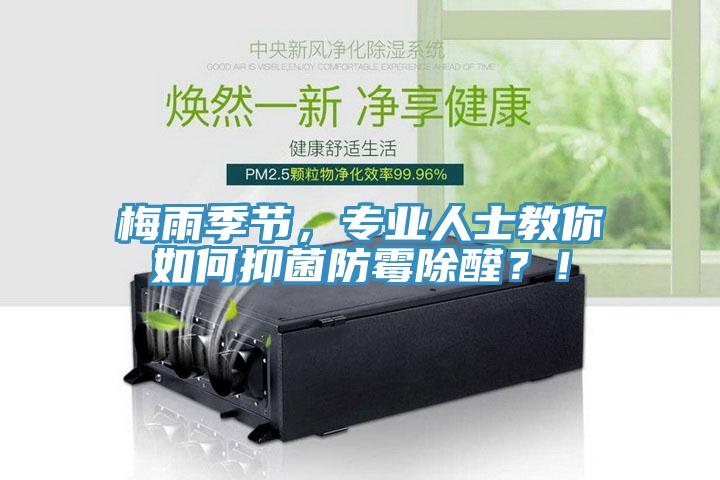 梅雨季節(jié)，專業(yè)人士教你如何抑菌防霉除醛？！