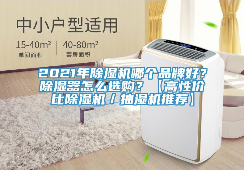 2021年除濕機(jī)哪個(gè)品牌好？除濕器怎么選購？【高性價(jià)比除濕機(jī)／抽濕機(jī)推薦】