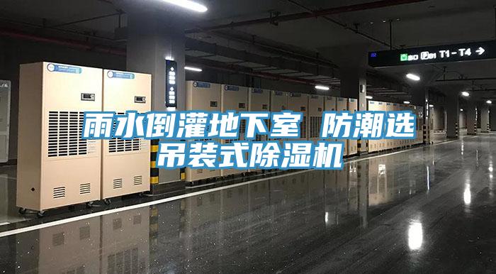 雨水倒灌地下室 防潮選吊裝式除濕機