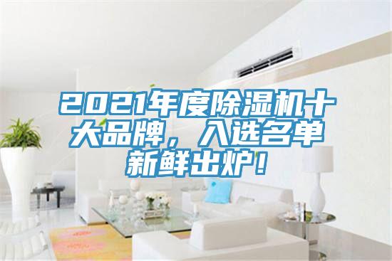 2021年度除濕機(jī)十大品牌，入選名單新鮮出爐！