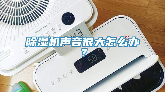 除濕機聲音很大怎么辦？