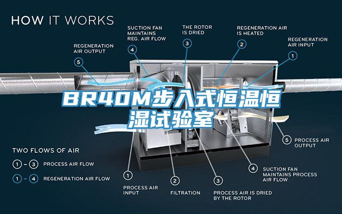 BR40M步入式恒溫恒濕試驗(yàn)室