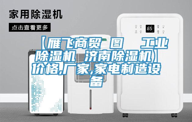 【雁飛商貿 圖  工業(yè)除濕機 濟南除濕機】價格,廠家,家電制造設備