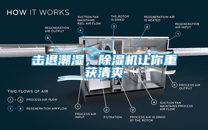 擊退潮濕，除濕機(jī)讓你重獲清爽