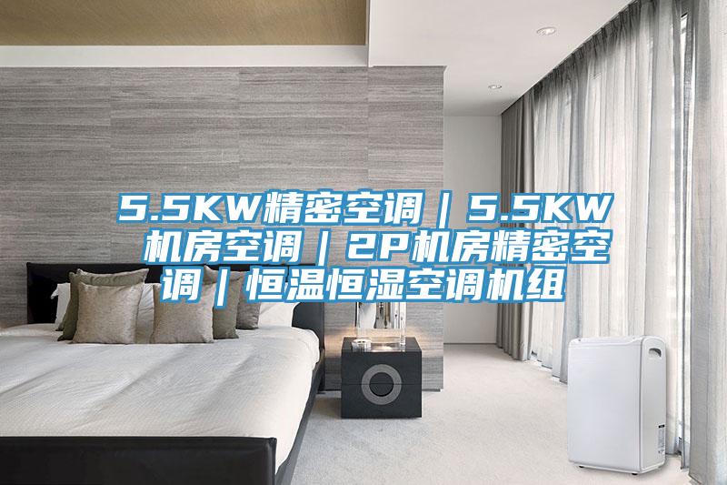 5.5KW精密空調(diào)｜5.5KW 機房空調(diào)｜2P機房精密空調(diào)｜恒溫恒濕空調(diào)機組