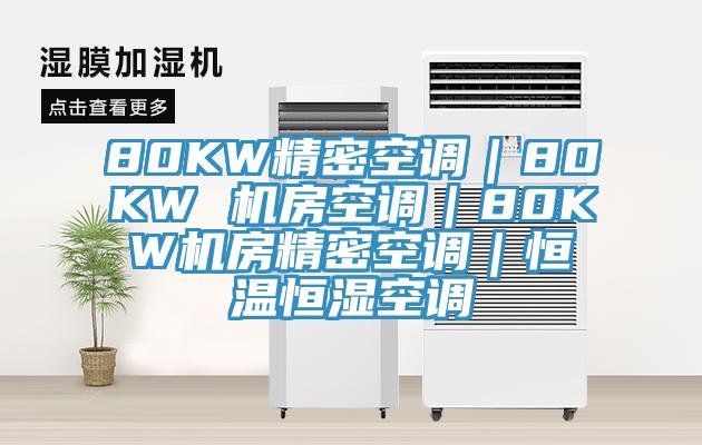 80KW精密空調(diào)｜80KW 機房空調(diào)｜80KW機房精密空調(diào)｜恒溫恒濕空調(diào)