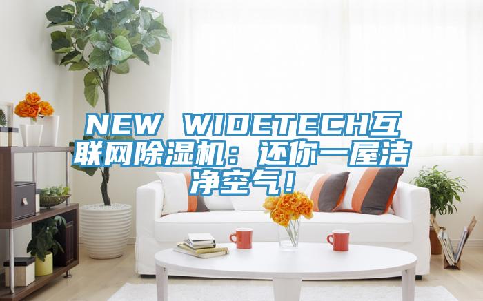 NEW WIDETECH互聯(lián)網(wǎng)除濕機(jī)：還你一屋潔凈空氣！