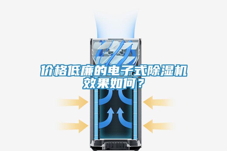 價(jià)格低廉的電子式除濕機(jī)效果如何？