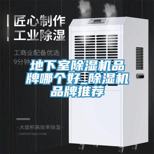 地下室除濕機(jī)品牌哪個(gè)好_除濕機(jī)品牌推薦