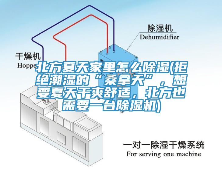 北方夏天家里怎么除濕(拒絕潮濕的“桑拿天”，想要夏天干爽舒適，北方也需要一臺除濕機)