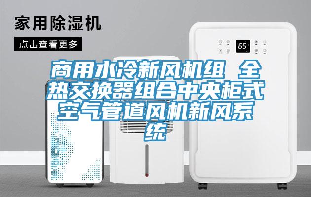 商用水冷新風(fēng)機組 全熱交換器組合中央柜式空氣管道風(fēng)機新風(fēng)系統(tǒng)