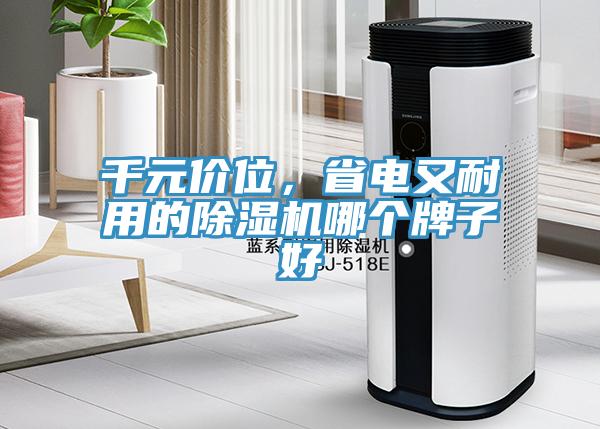 千元價位，省電又耐用的除濕機哪個牌子好