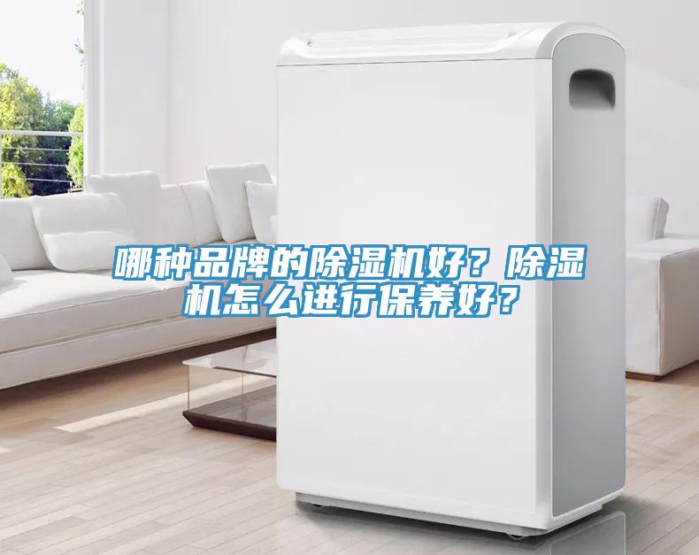 哪種品牌的除濕機好？除濕機怎么進行保養(yǎng)好？