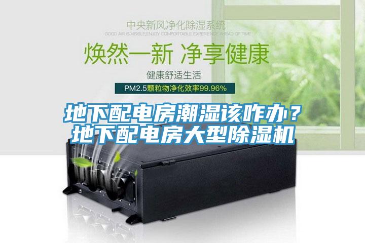 地下配電房潮濕該咋辦？地下配電房大型除濕機