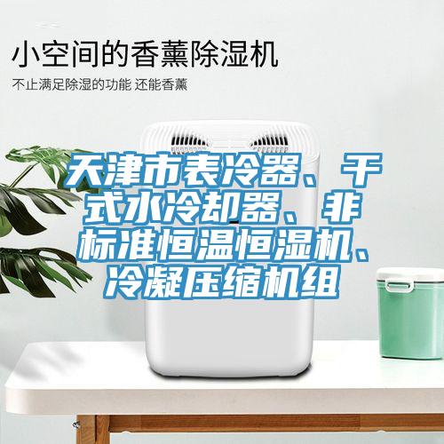 天津市表冷器、干式水冷卻器、非標(biāo)準(zhǔn)恒溫恒濕機(jī)、冷凝壓縮機(jī)組