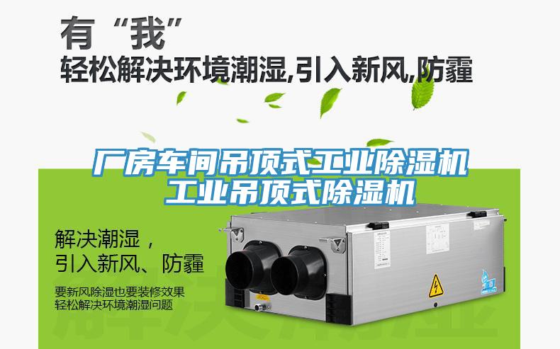 廠房車間吊頂式工業(yè)除濕機 工業(yè)吊頂式除濕機