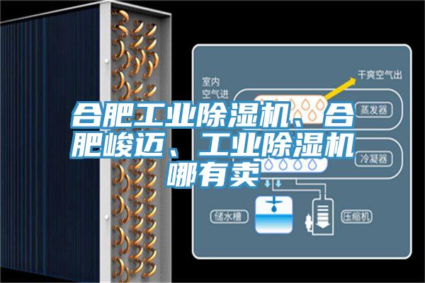 合肥工業(yè)除濕機、合肥峻邁、工業(yè)除濕機哪有賣