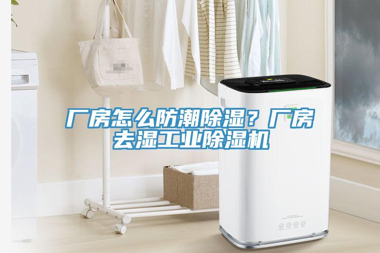 廠房怎么防潮除濕？廠房去濕工業(yè)除濕機