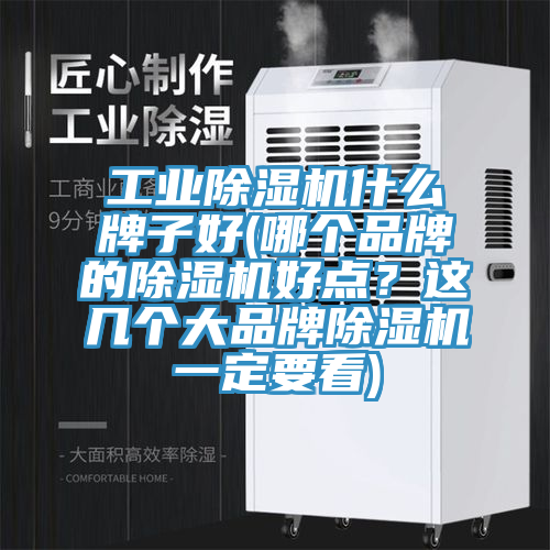 工業(yè)除濕機(jī)什么牌子好(哪個(gè)品牌的除濕機(jī)好點(diǎn)？這幾個(gè)大品牌除濕機(jī)一定要看)