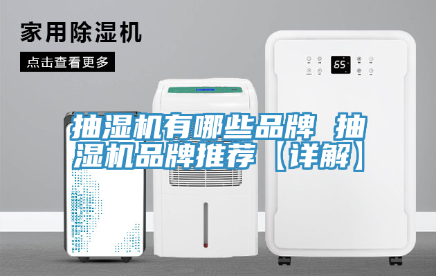 抽濕機有哪些品牌 抽濕機品牌推薦【詳解】