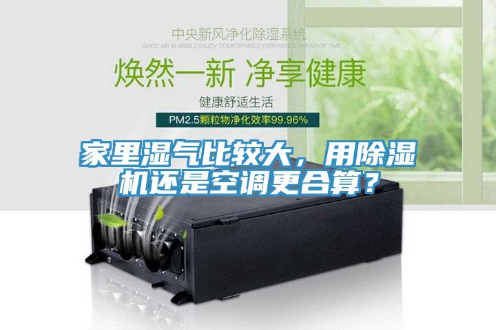 家里濕氣比較大，用除濕機(jī)還是空調(diào)更合算？