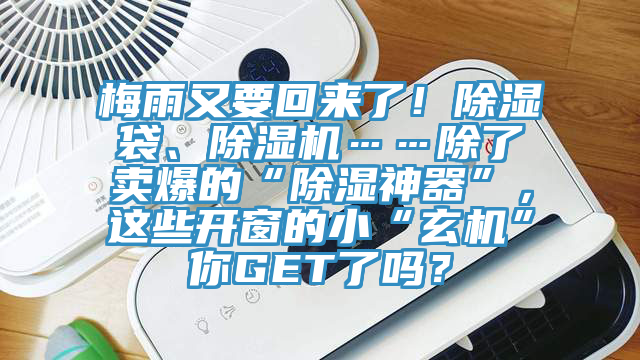 梅雨又要回來了！除濕袋、除濕機……除了賣爆的“除濕神器”，這些開窗的小“玄機”你GET了嗎？