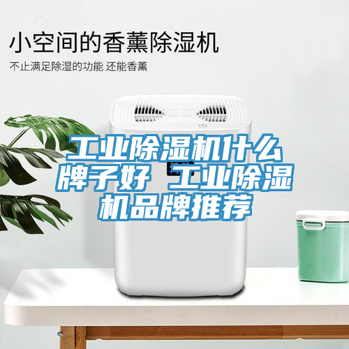 工業(yè)除濕機(jī)什么牌子好 工業(yè)除濕機(jī)品牌推薦