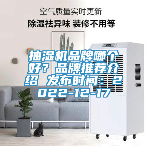 抽濕機品牌哪個好？品牌推薦介紹 發(fā)布時間：2022-12-17