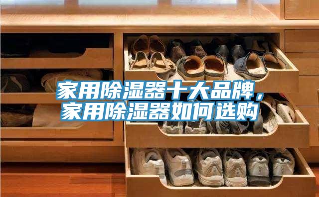 家用除濕器十大品牌，家用除濕器如何選購