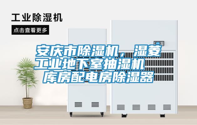 安慶市除濕機，濕菱工業(yè)地下室抽濕機  庫房配電房除濕器