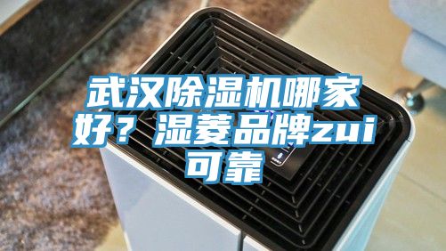 武漢除濕機哪家好？濕菱品牌zui可靠