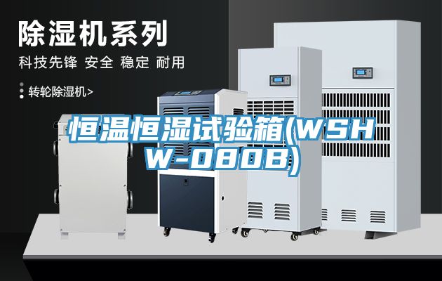 恒溫恒濕試驗(yàn)箱(WSHW-080B)