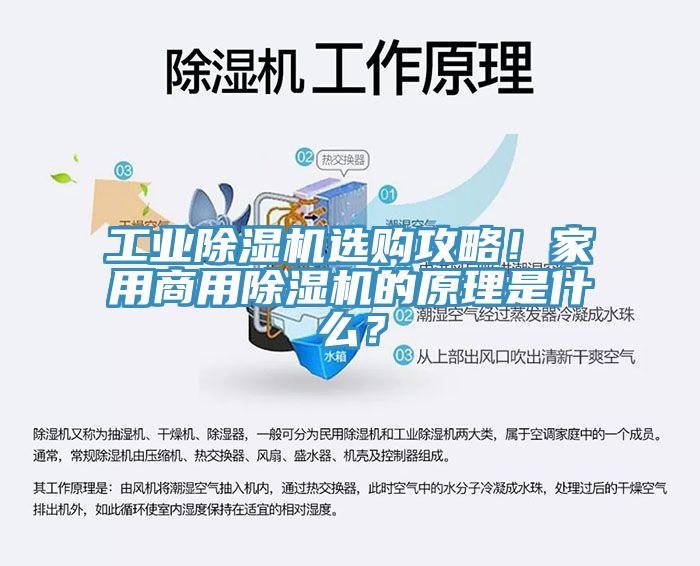 工業(yè)除濕機選購攻略！家用商用除濕機的原理是什么？