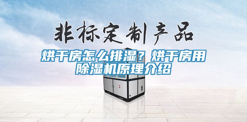 烘干房怎么排濕？烘干房用除濕機原理介紹