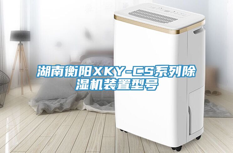 湖南衡陽XKY-CS系列除濕機裝置型號