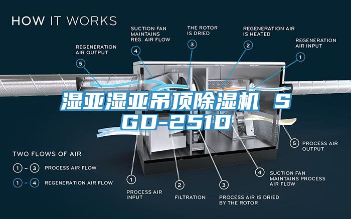 濕亞濕亞吊頂除濕機(jī) SGD-251D