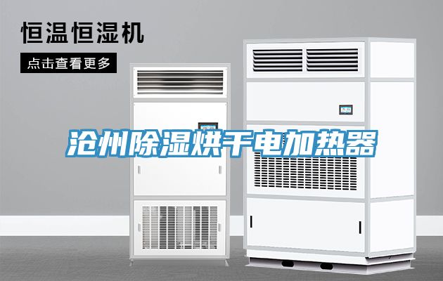 滄州除濕烘干電加熱器