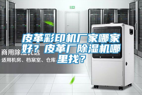 皮革彩印機廠家哪家好？皮革廠除濕機哪里找？