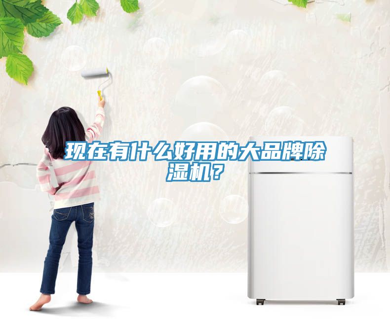 現(xiàn)在有什么好用的大品牌除濕機(jī)？